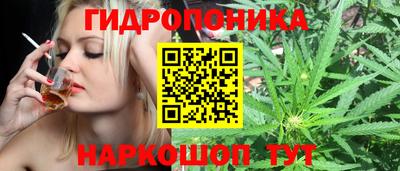 СК Можайск