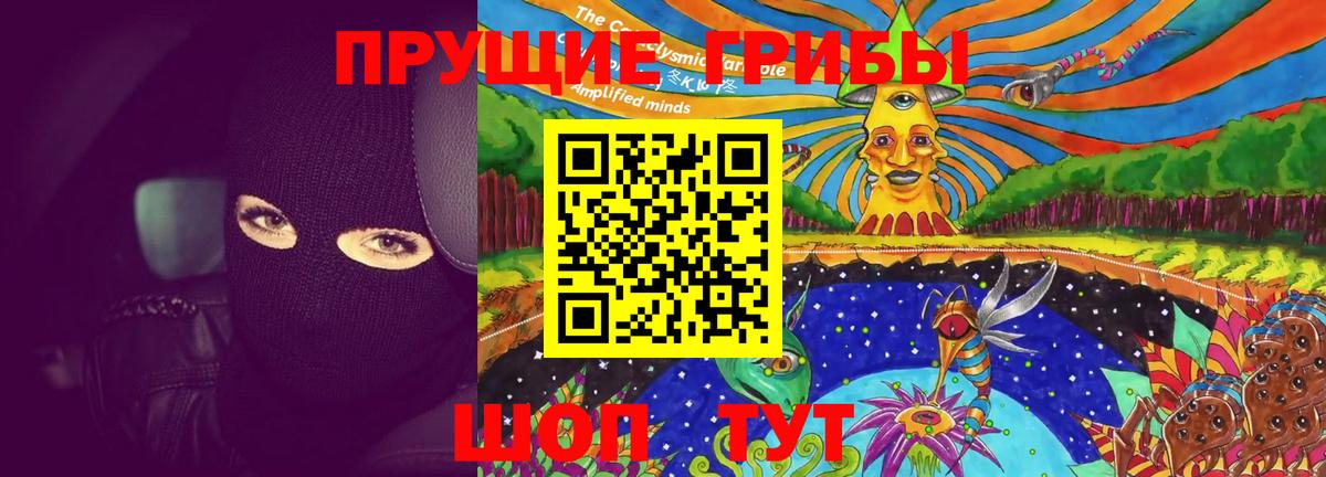 Псилоцибиновые грибы Cubensis Тихорецк