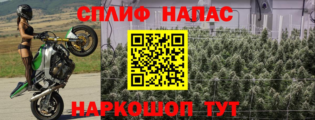 Бошки марихуана Bruce Banner  Марихуана VHQ  Вход с VPN  Тихорецк  Бошки марихуана VHQ 